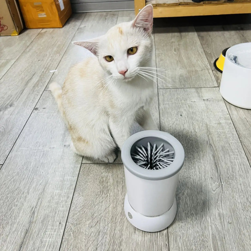Automatic Paw Cleaning Cup